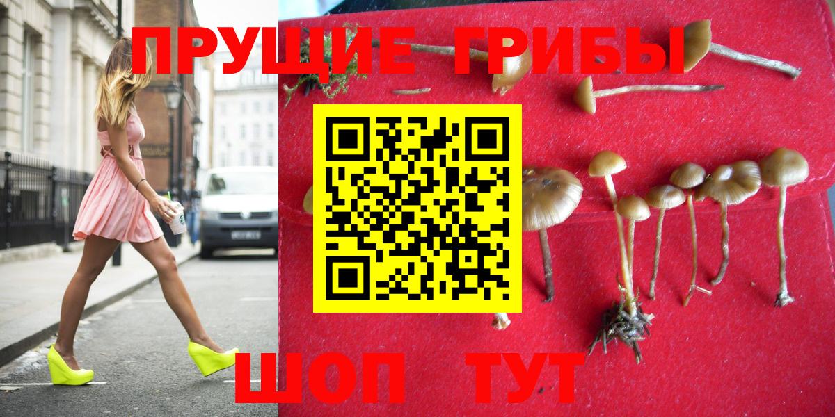 Галлюциногенные грибы мицелий  Вход с VPN  Псилоцибиновые грибы Psilocybine cubensis  Кропоткин 